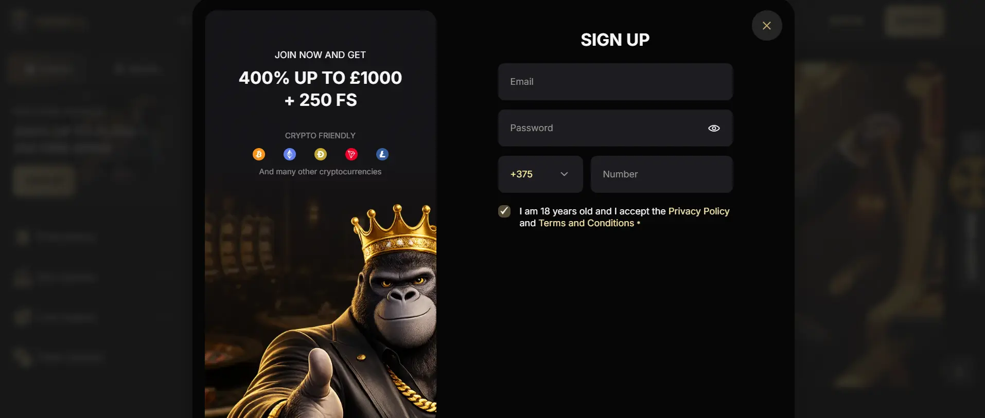 Spin Kong registration page showing the casino account sign up form